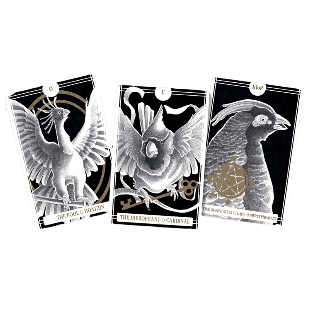 Avian Tarot