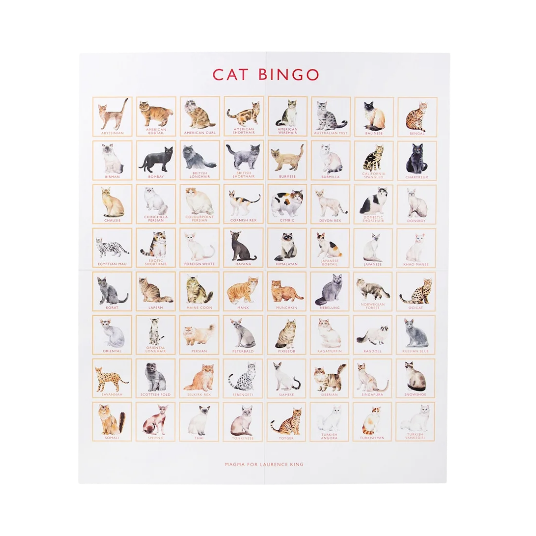Cat Bingo