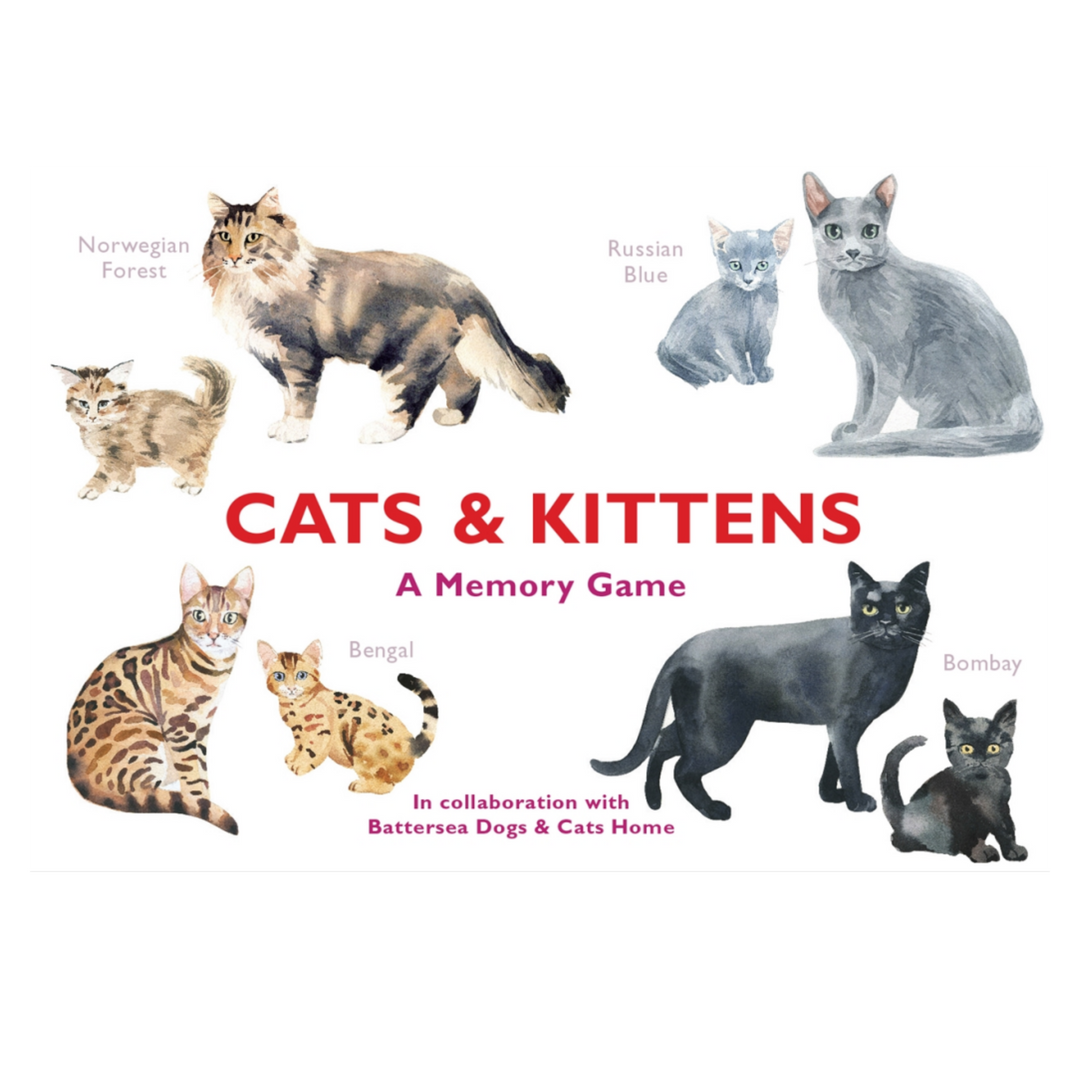 Cats & Kittens Memory Game