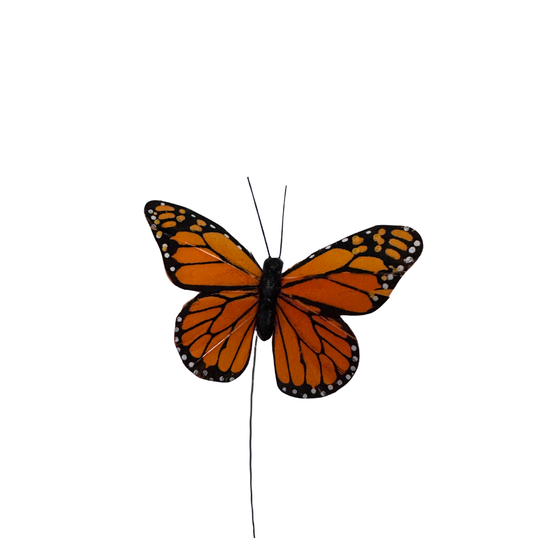 Butterfly on Wire
