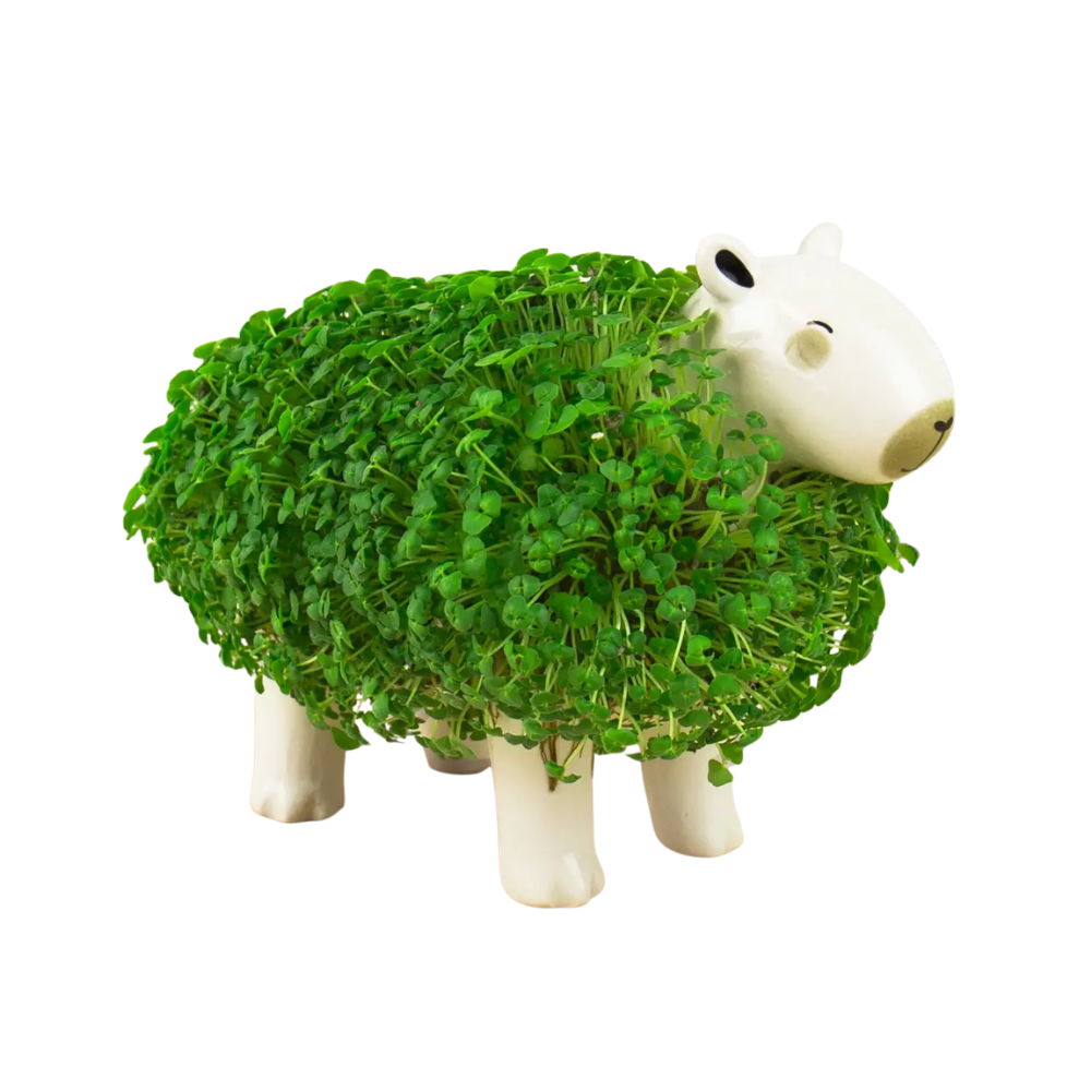 Capybara Chia Planter