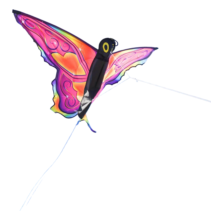 Fancy Butterfly Kite