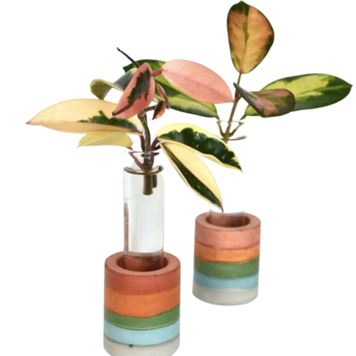 Rainbow Layered propagation with glass test tube