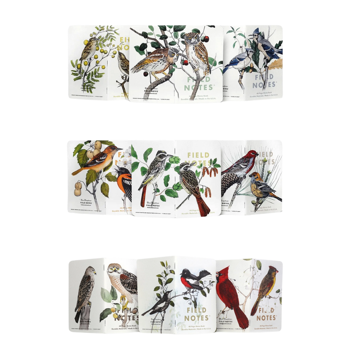 Birds and Trees of North America Field Notes- Pack A: Screech Owl, Blue Jay, Brewer Sparrow