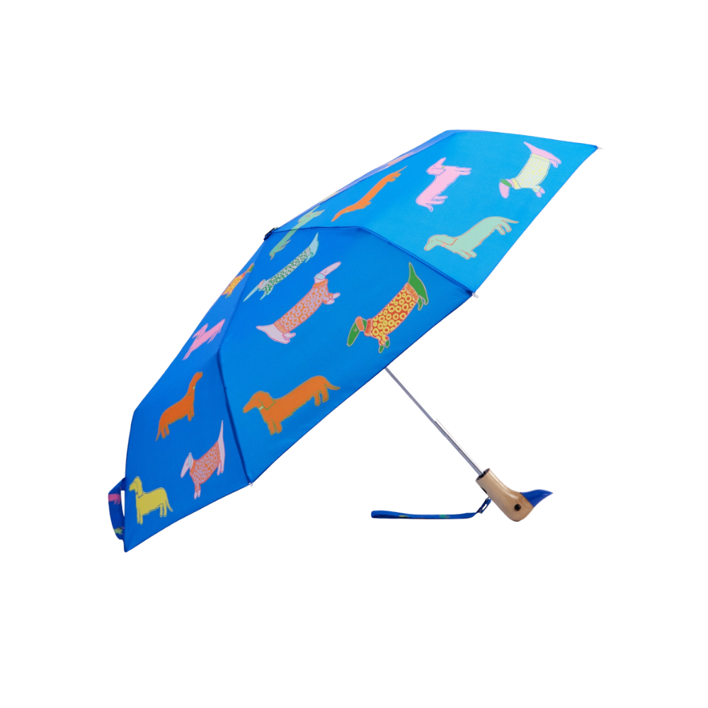 Compact Duck Umbrella