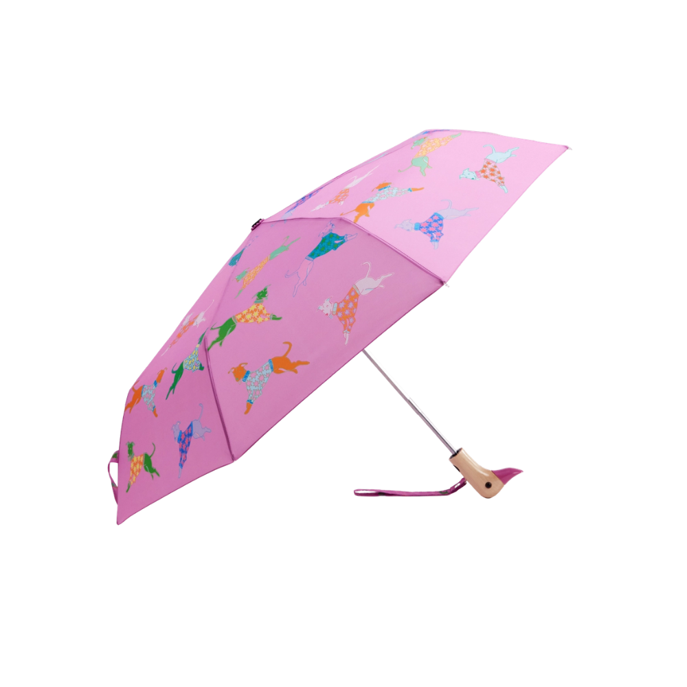 Compact Duck Umbrella