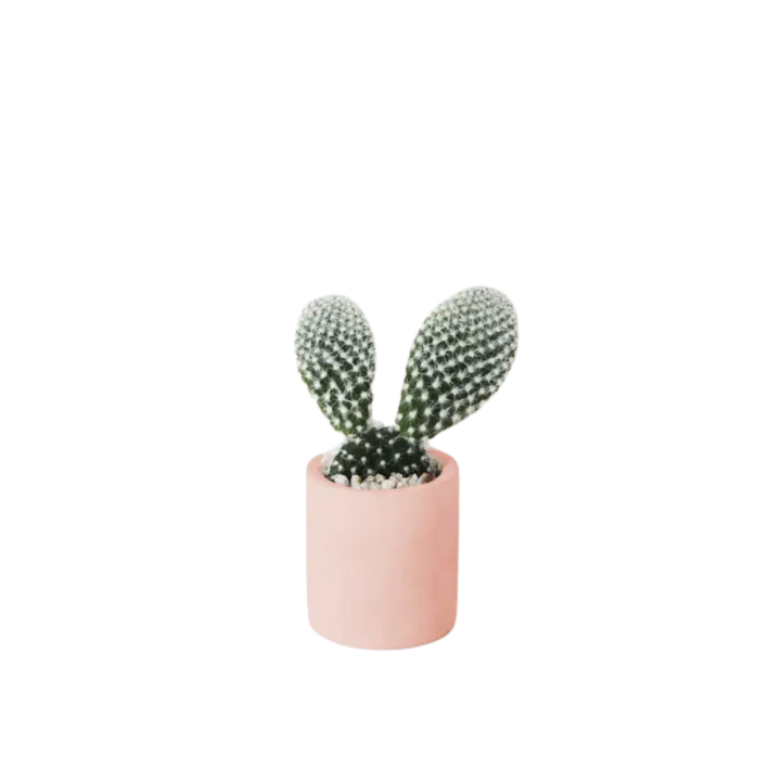 Tiny Pot