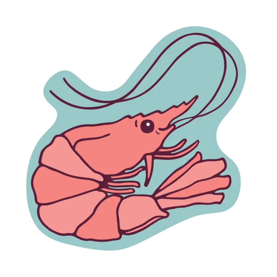 Shrimp Sticker