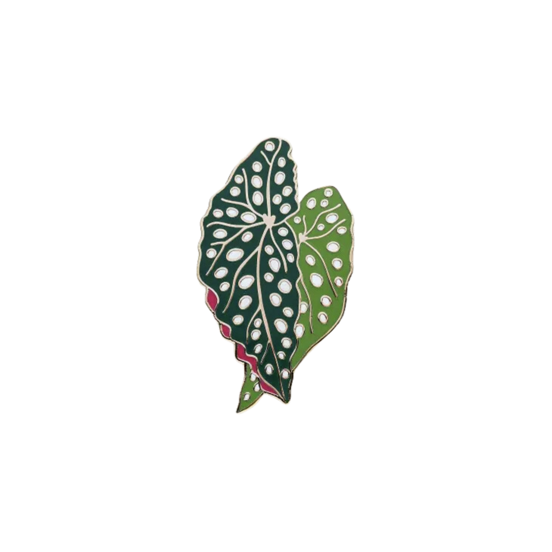 Begonia Plant Enamel Pin