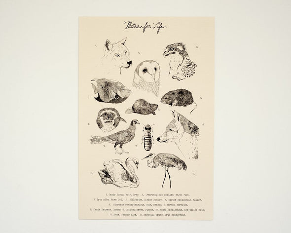 Mates for Life Print