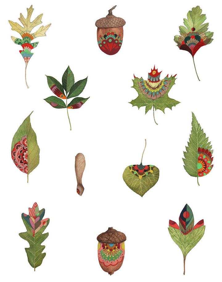 Collector: The Forest - Art Print