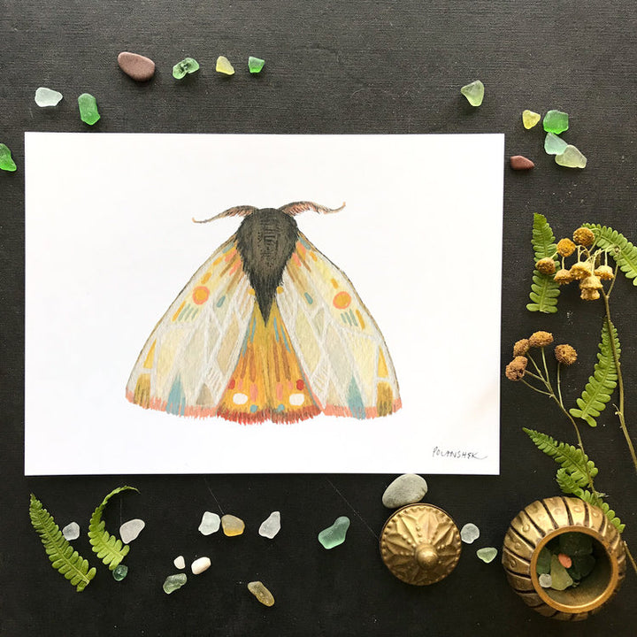 Collector: Moth 9 - Art Print