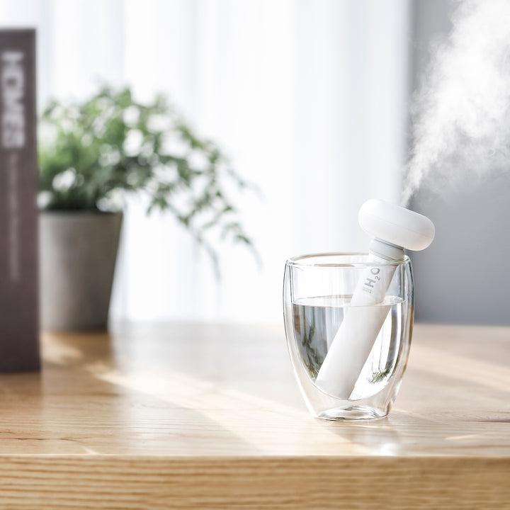 USB Ultrasonic Cool Mist Humidifier and Bottle Kit
