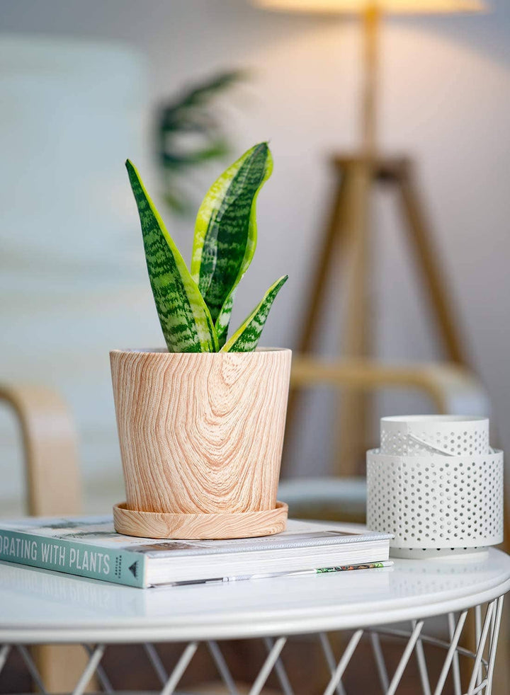 Wood Pattern Ceramic Planter with Tray