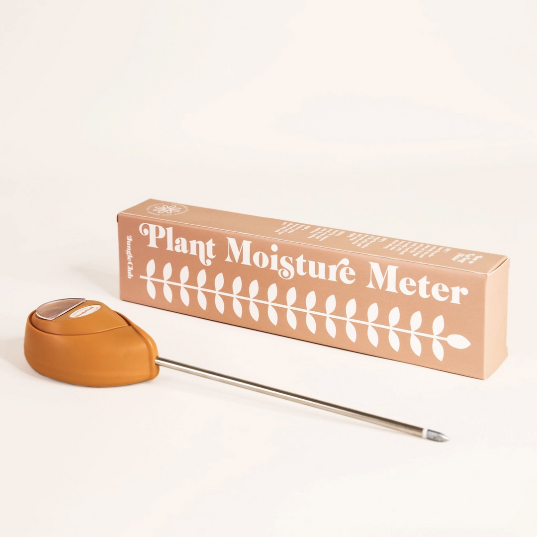 Plant Moisture Meter