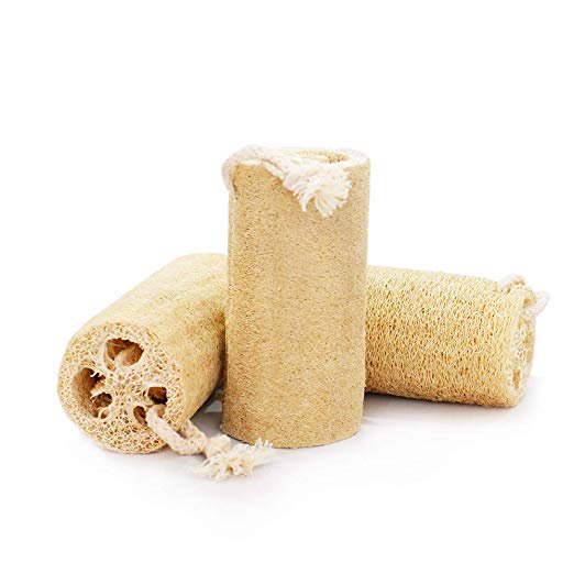 Loofah