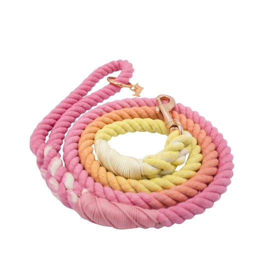 Sunkissed Dog Rope Leash