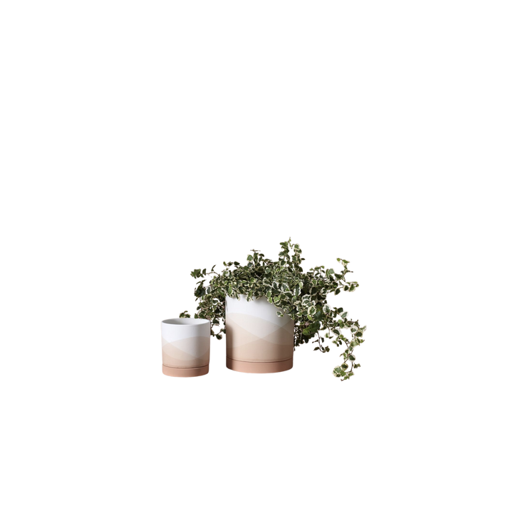 Terracotta Sunrise Pot