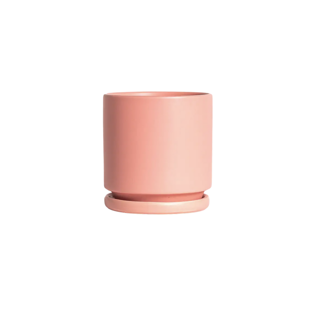 10.25" Cylinder Pot with Water Trays