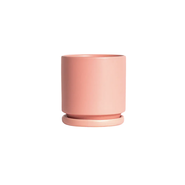 10.25" Cylinder Pot with Water Trays