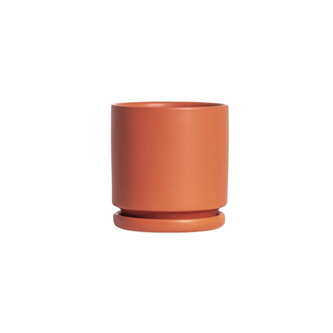 10.25" Cylinder Pot with Water Trays