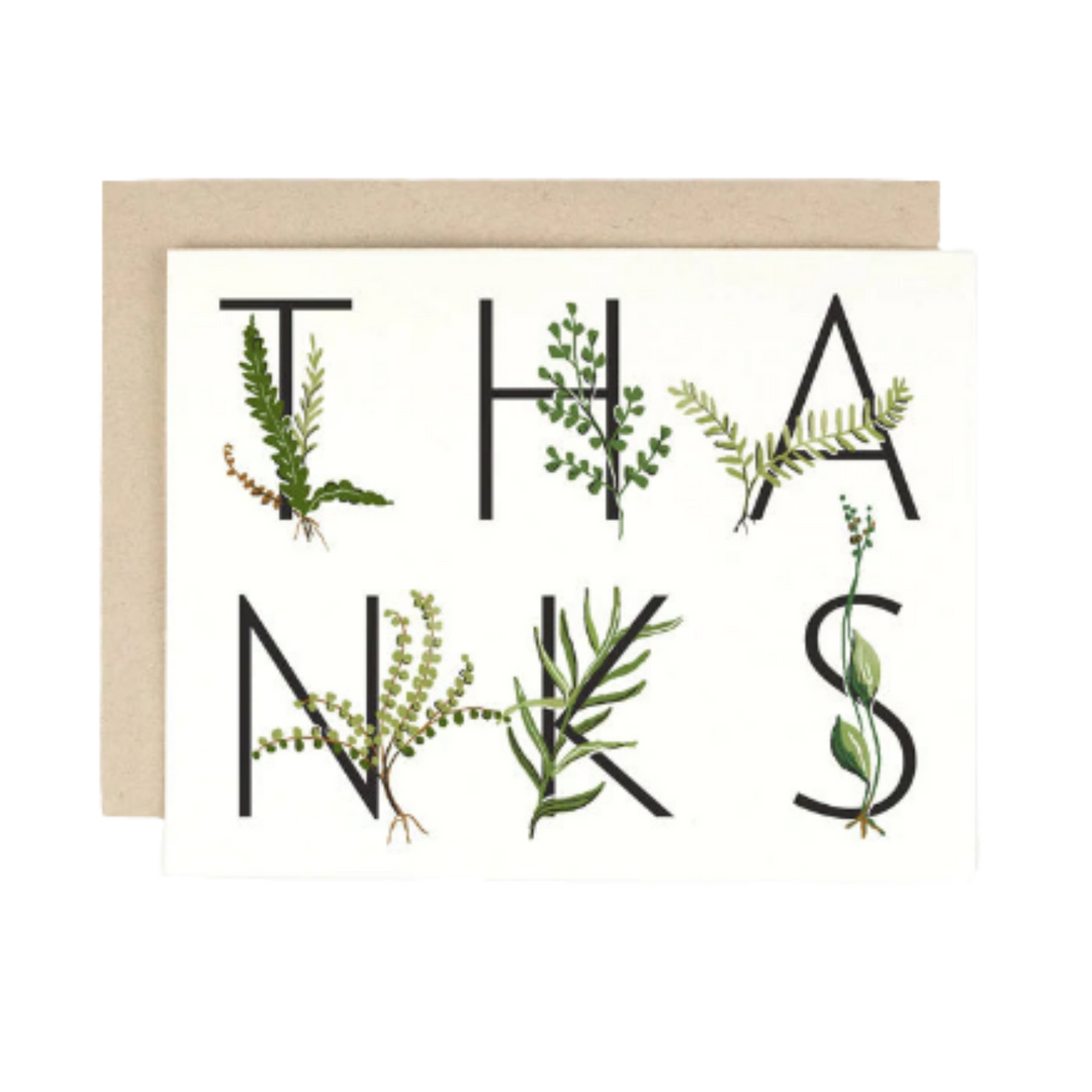 Fern Thanks Card Boxed Set