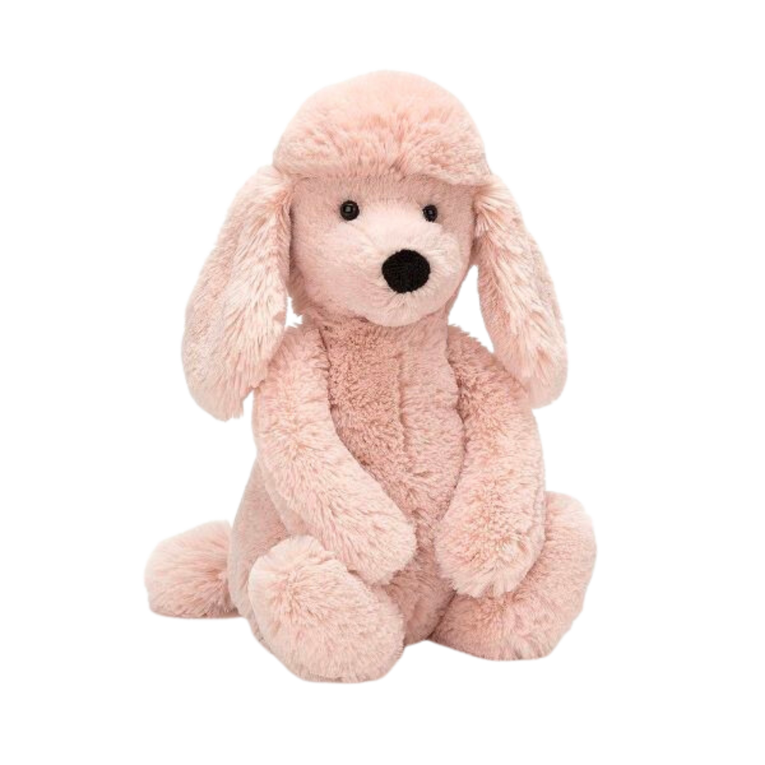 Bashful Poodle