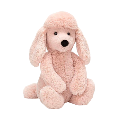 Bashful Poodle