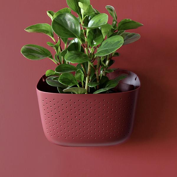 Wally Eco Planter