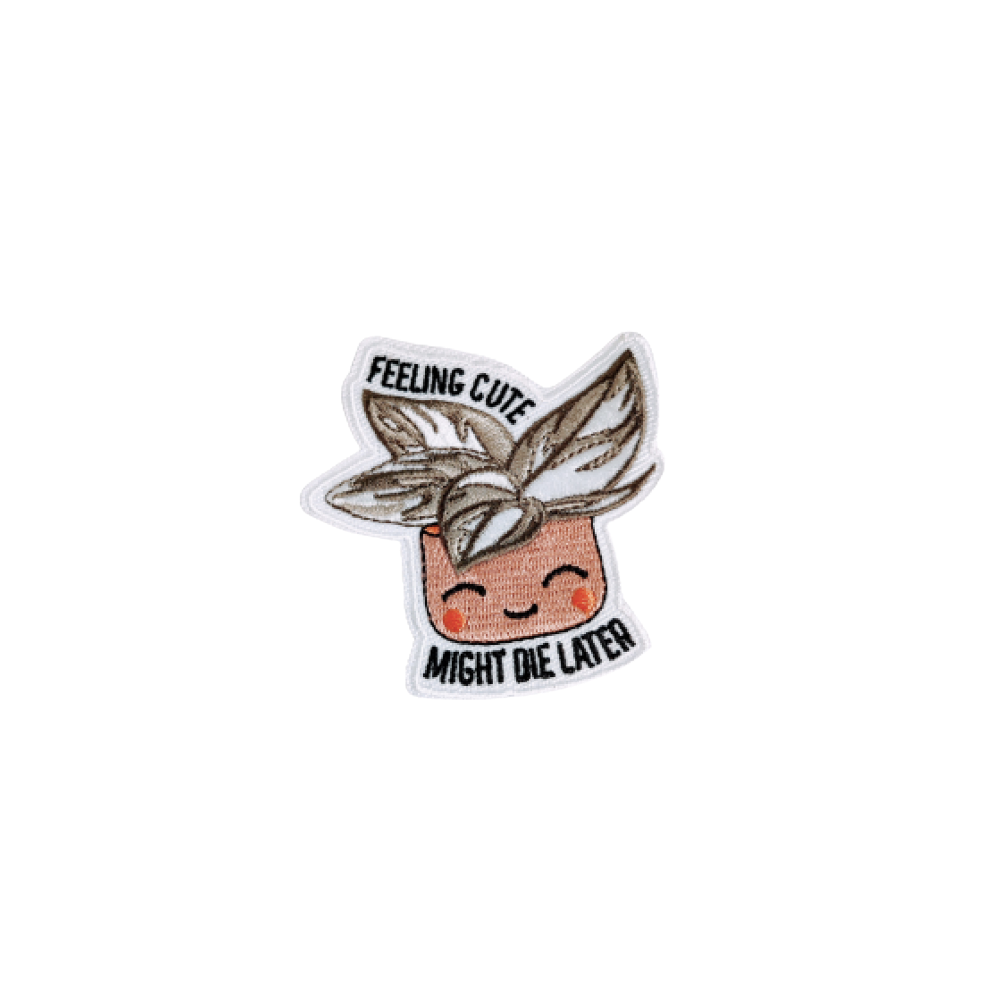 Feeling Cute Patch