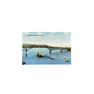 Vermont Swimming Giant Postcard