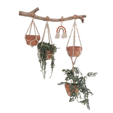 Coffee Wood Beaded Plant Holder