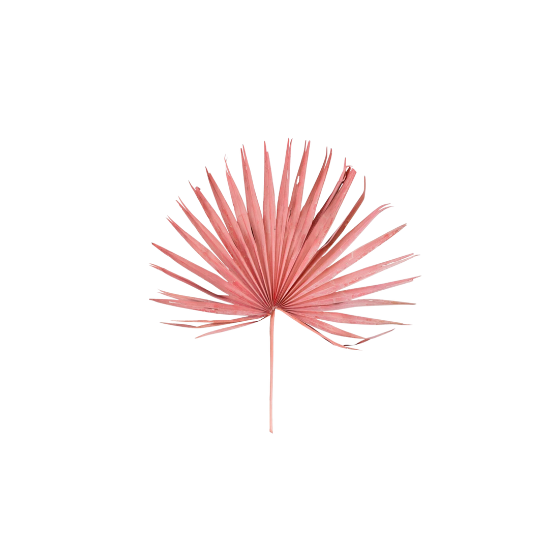 Dried Palm Leaf Bunch Pink Finish