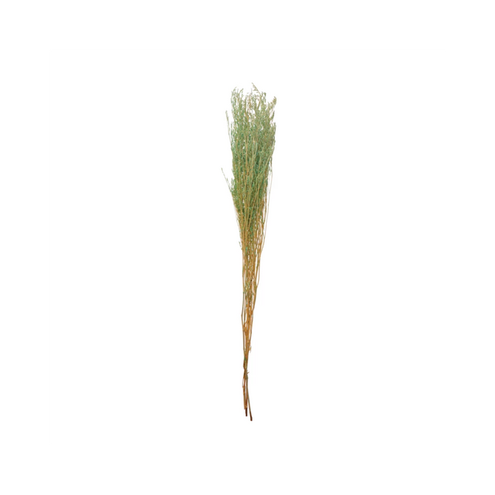 Dried Natural Love Grass Bunch