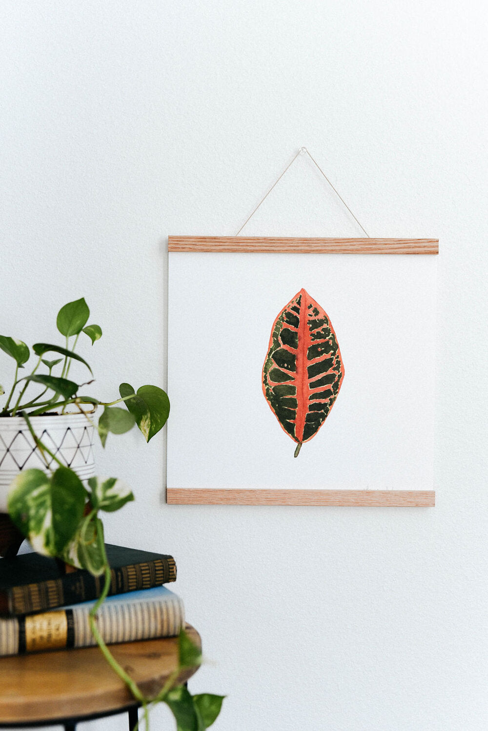 Croton Plant Houseplant Art Print