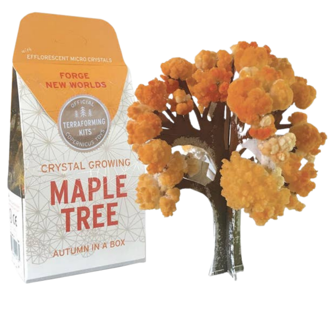 Crystal Growing Maple Tree