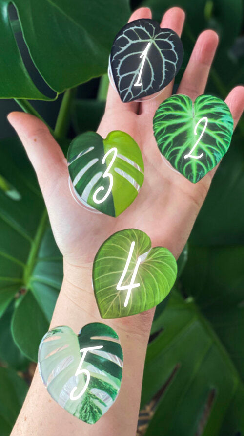 Plant Leaf Phone Grips Pop Socket
