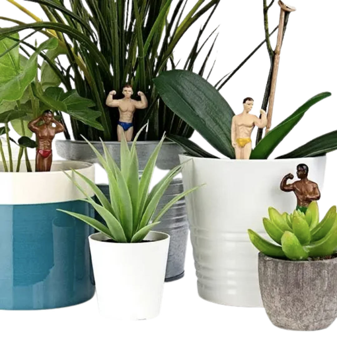 Mini Hunk Planters