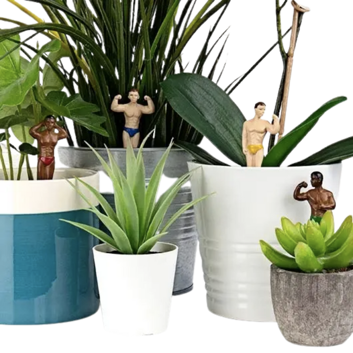 Mini Hunk Planters