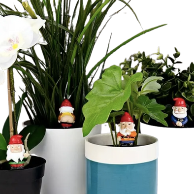 Naughty Gnome Planter Friends
