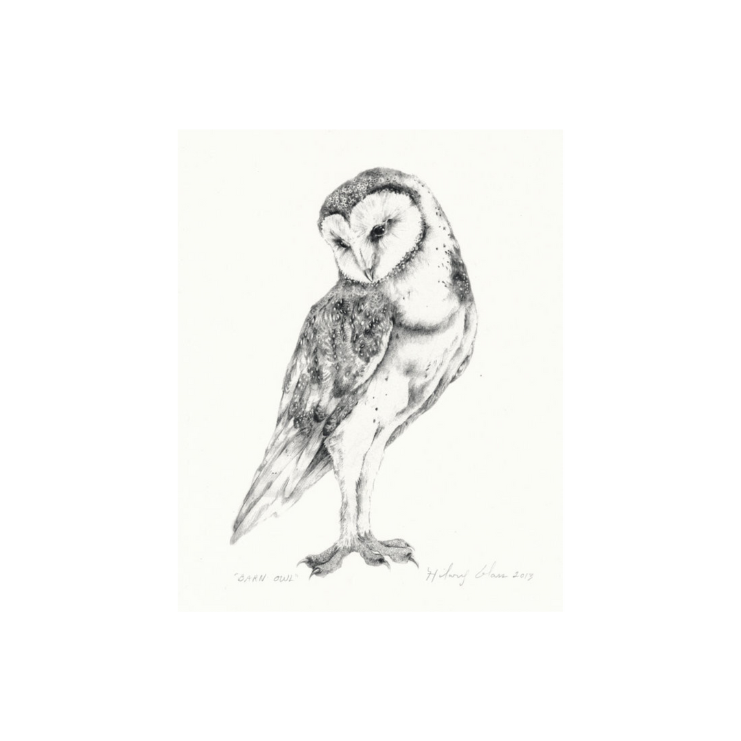 Barn Owl Print