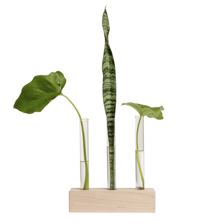 Propagation Station Trio