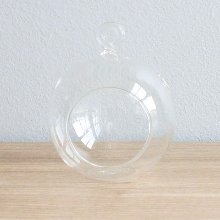 Hanging Globe Terrarium with Flat Bottom