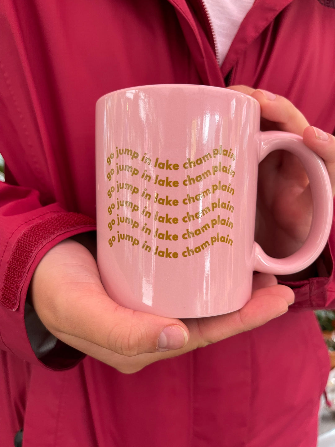 Go Jump in Lake Champlain Mug