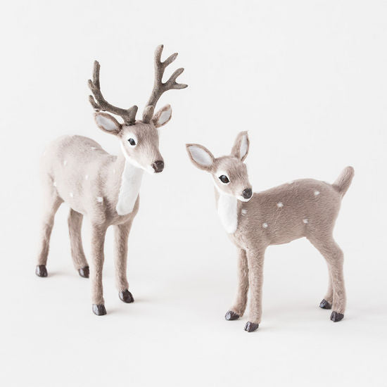 Gray Deer