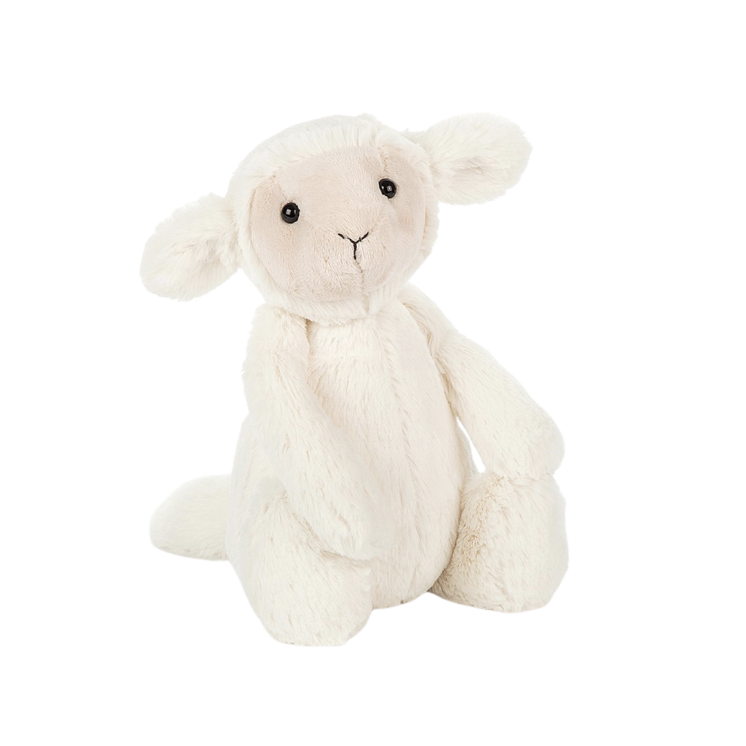 Bashful Lamb