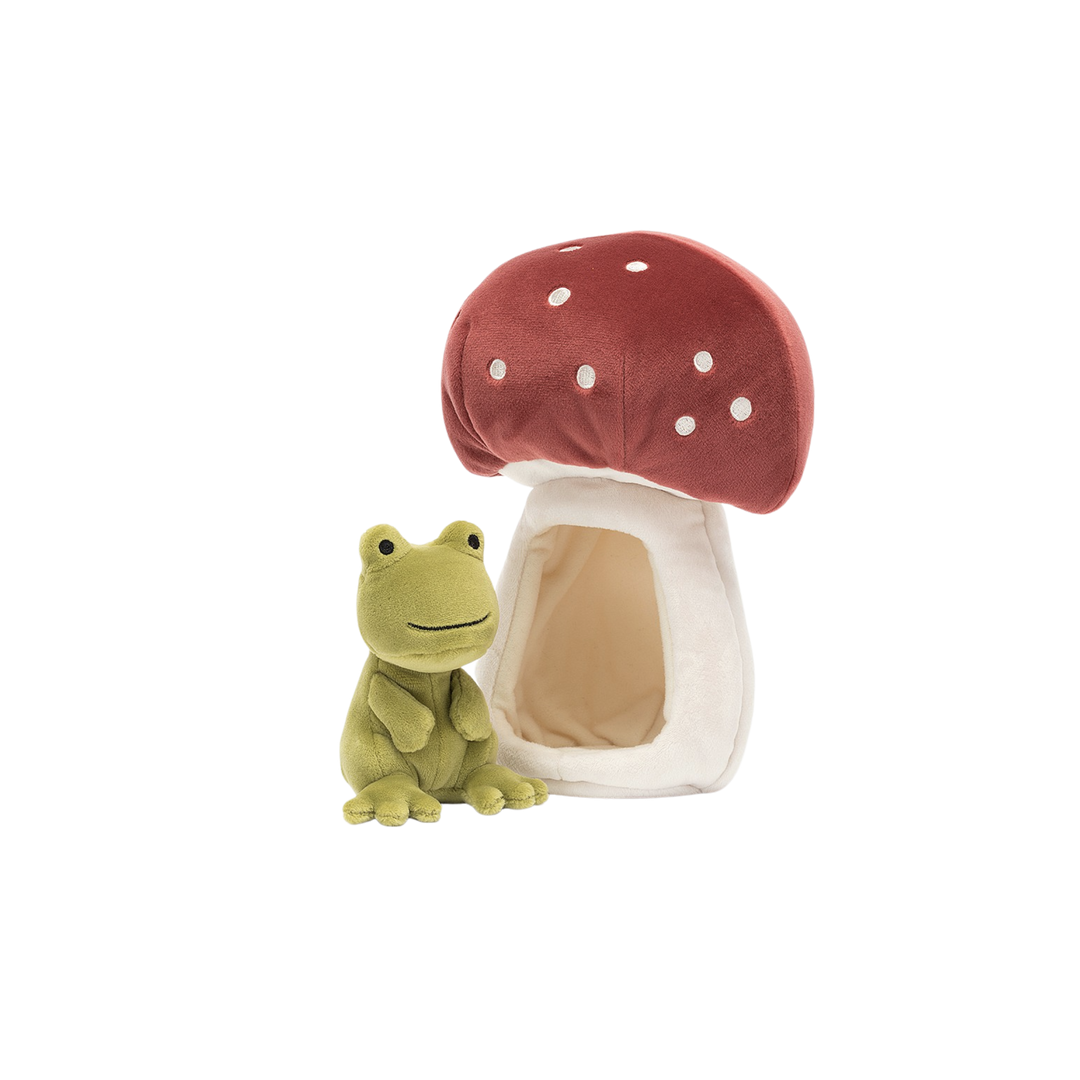 Forest Fauna Frog