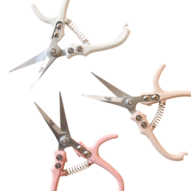 Pruning Shears