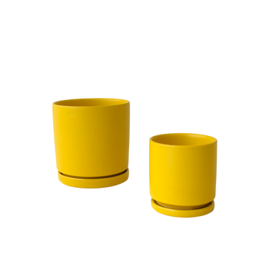 4.5" Gemstone Cylinder Pot with Water Tray