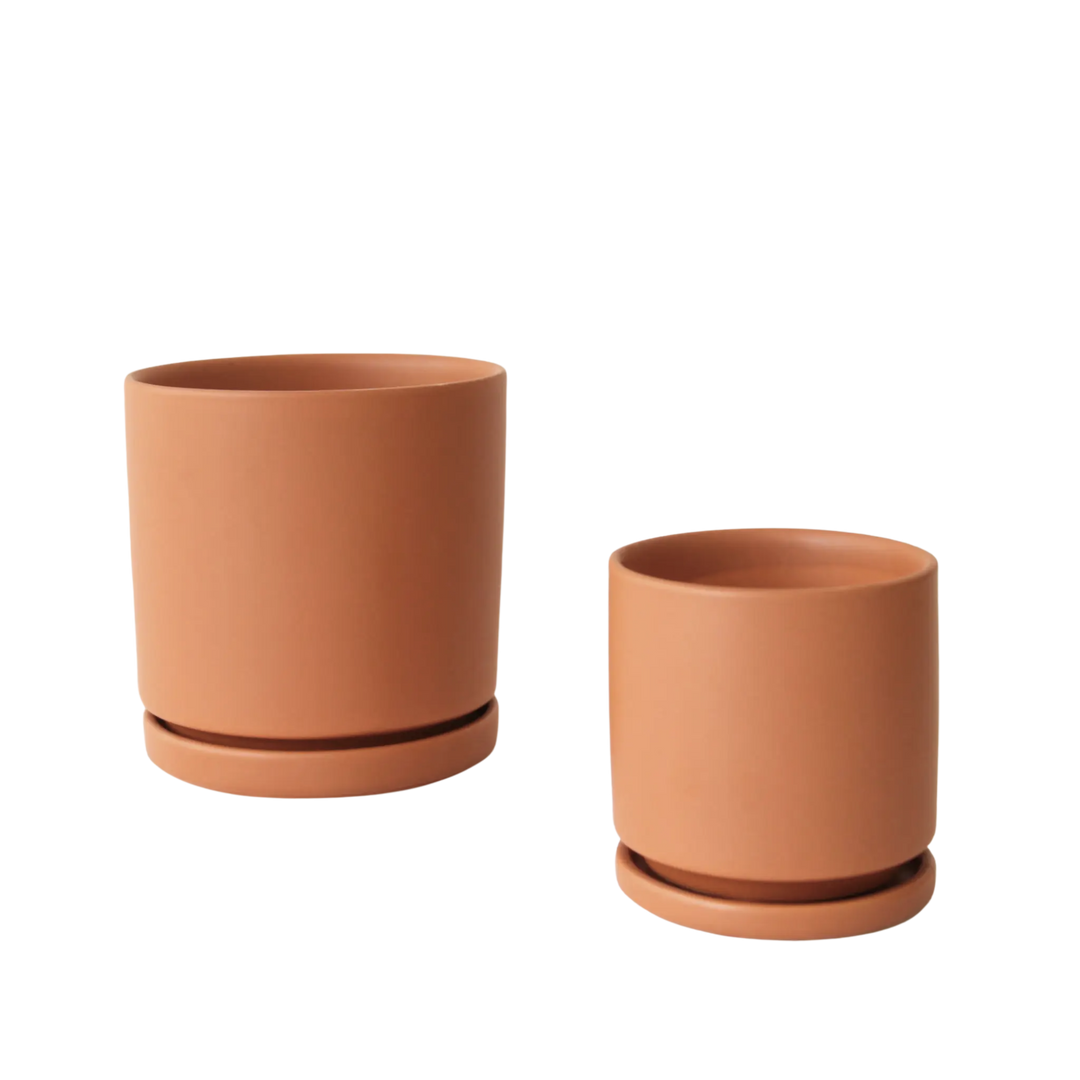4.5" Gemstone Cylinder Pot with Water Tray